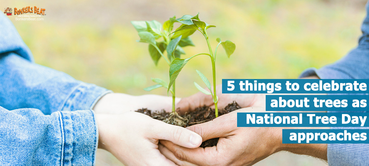 5 things to celebrate about trees as National Tree Day approaches